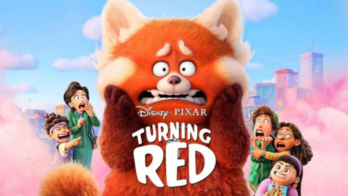 To-nie-wypanda